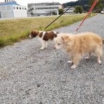 70 Tag 17.07